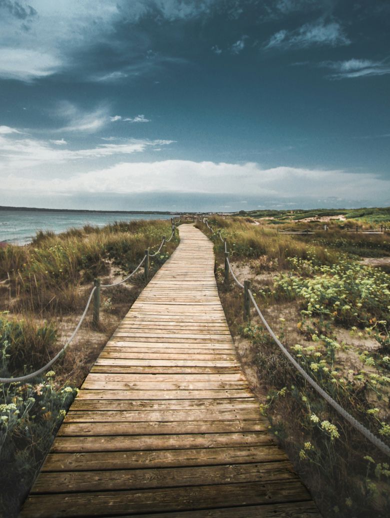 Closing the ATMP access gap? How Europe’s HTA frameworks and manufacturers are adapting