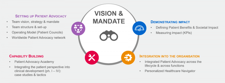 Patient Advocacy Function - Vision and Mandate
