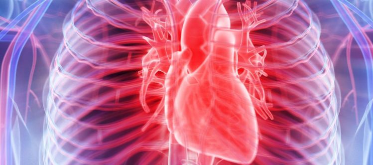 Heart Failure Case Study with MedTech Europe