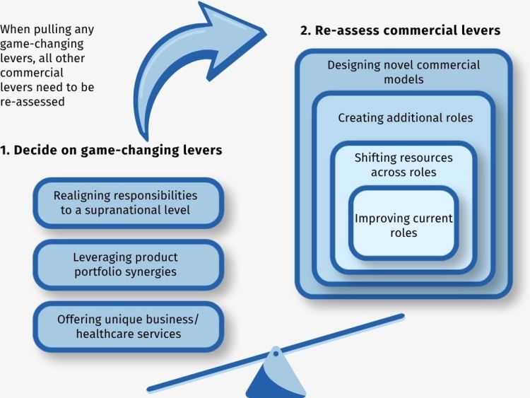 Game-changing levers for commercial success of a pharmaceutical drug Game-changing levers for commercial success of a pharmaceutical drug