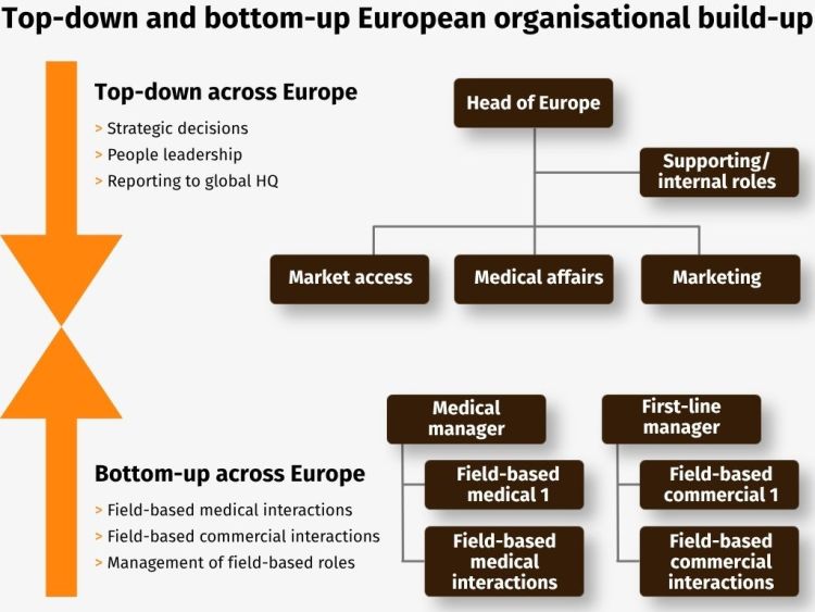Rare Diseases: The seamless Go-to-Market Model