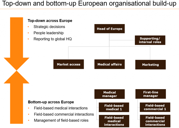 Rare Diseases: The seamless Go-to-Market Model