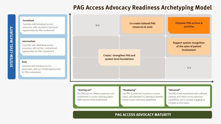 PAG Access Advocacy Readiness Archetyping Model