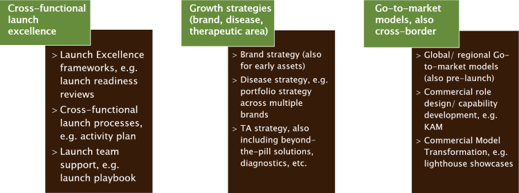 Our Commercial services - Cross-functional launch excellence - Growth strategies - Go-to-market models also cross-border Our Commercial services - Cross-functional launch excellence - Growth strategies - Go-to-market models also cross-border
