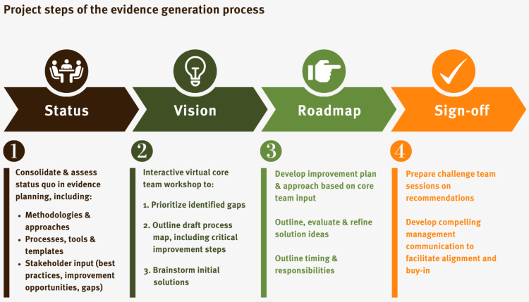 Table with project steps done during the evidence generation process