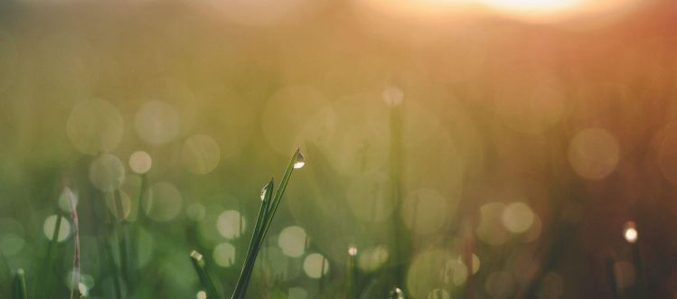 The early bird catches the warm: Early payer advice and engagement The early bird catches the warm: Early payer advice and engagement