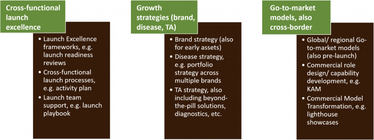 Our Commercial services - Cross-functional launch excellence - Growth strategies - Go-to-market models also cross-border Our Commercial services - Cross-functional launch excellence - Growth strategies - Go-to-market models also cross-border