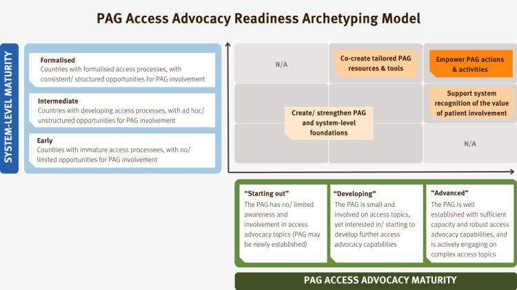 PAG Access Advocacy Readiness Archetyping Model PAG Access Advocacy Readiness Archetyping Model