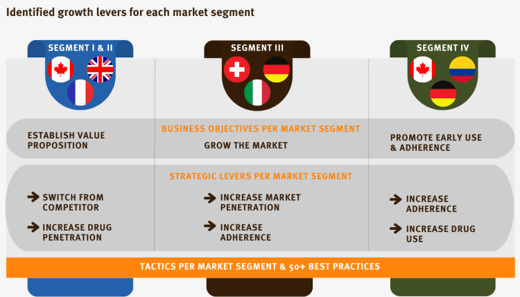 Identified growth levers for each market segment